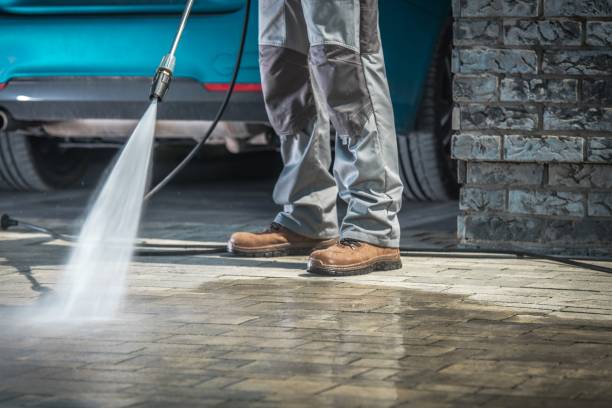 Best Sidewalk and Walkway Cleaning  in Blue Mound, IL