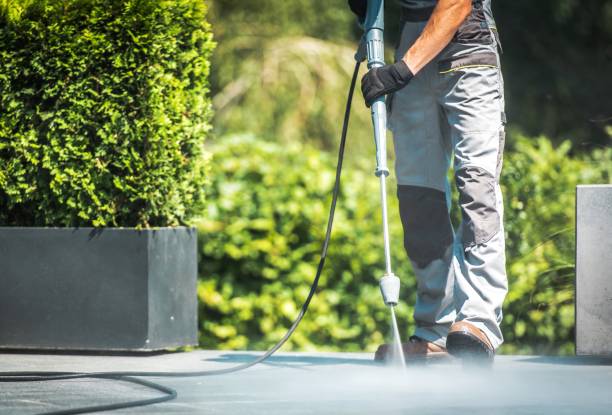 Best Building Exterior Washing  in Blue Mound, IL