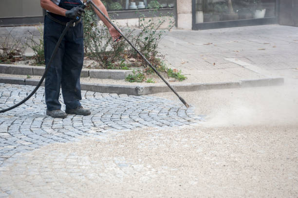 Best Fence Cleaning  in Blue Mound, IL